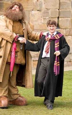 Harry Potter